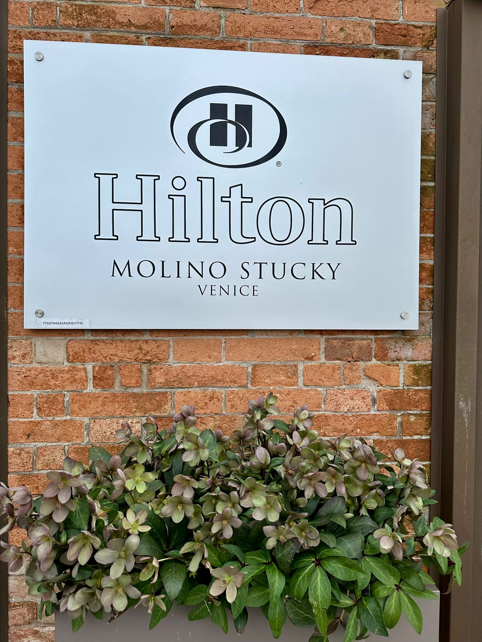 WhatsApp Image 2026-03-30 at 10.59.31 (3)